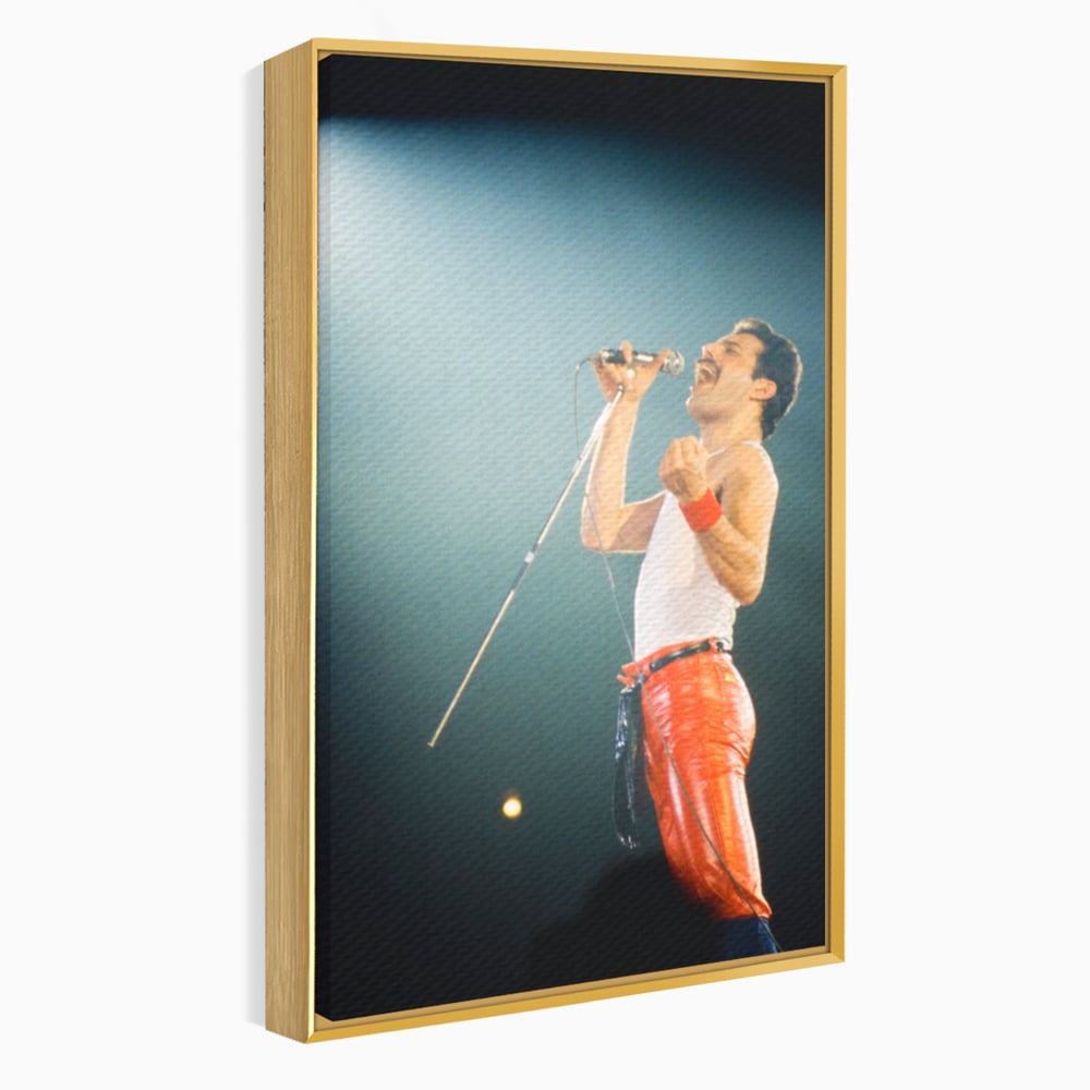Tablou canvas cu tablou canvas cu freddie mercury, in rama de aluminiu auriu